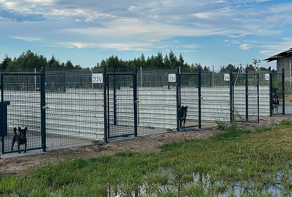 SOS gyvūnai | Borga parama