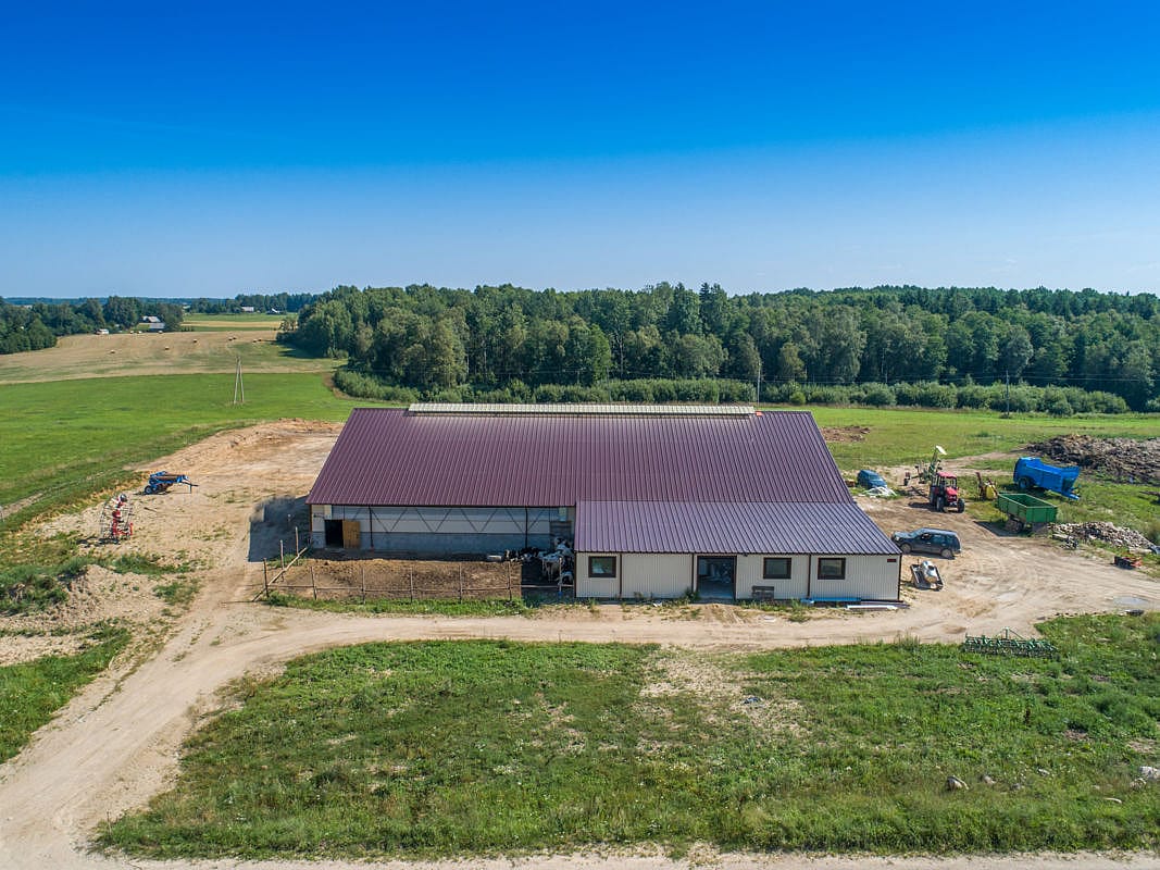 karvidė