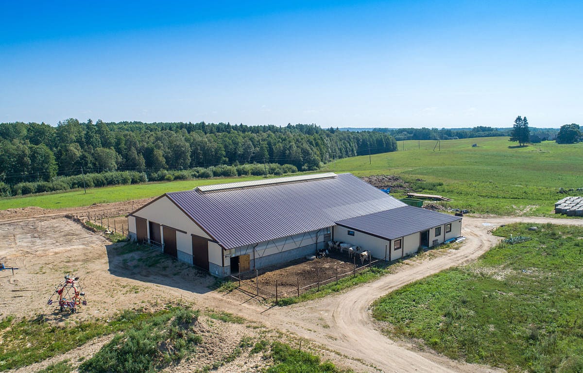 karvidė