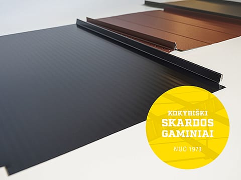 Klasikinė danga Borga Classic