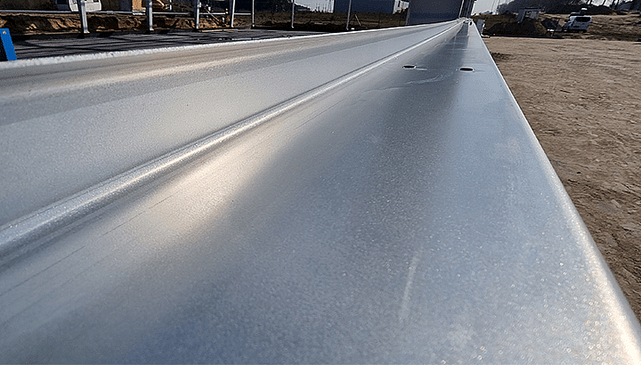 Zetownik Borga z bliska