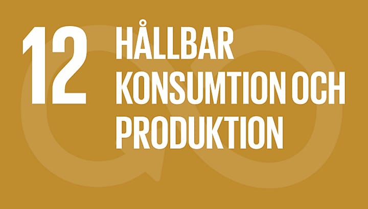 FN Mål 12: hållbar konsumtion och produktion | BORGA